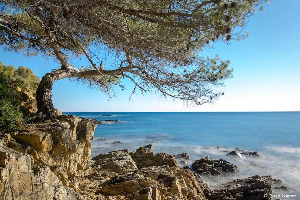 Roquebrune-Sur-Argens, Villa 2 Pieces, 4 Personnes Екстер'єр фото